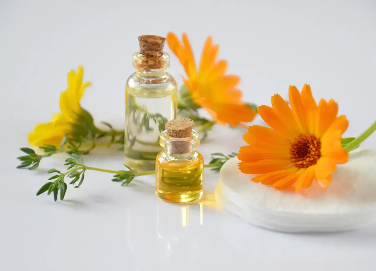 calendula officialis to heal your sunburns naturally