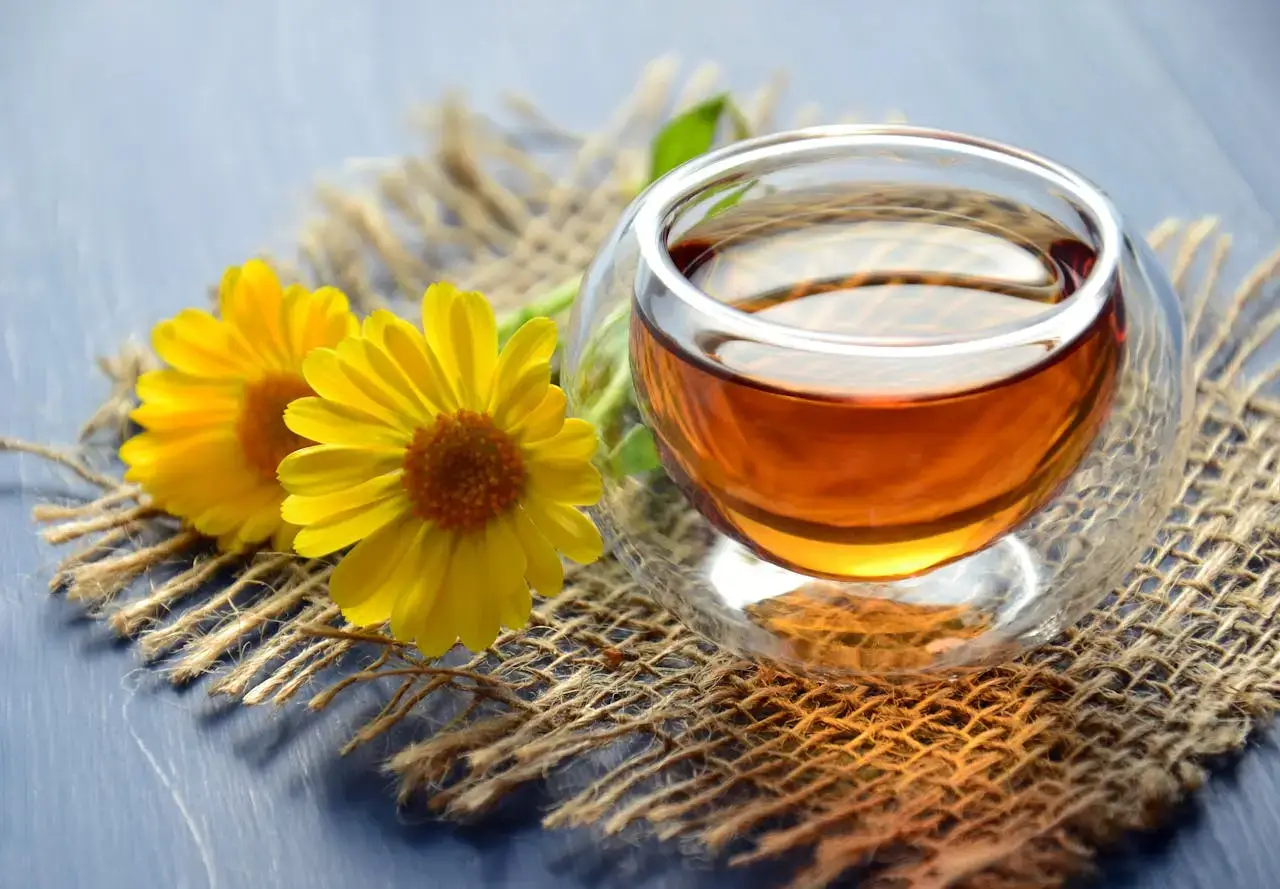 calendula officinalis tea