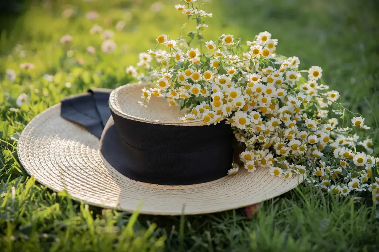 Herbs for Winter Health Chamomile