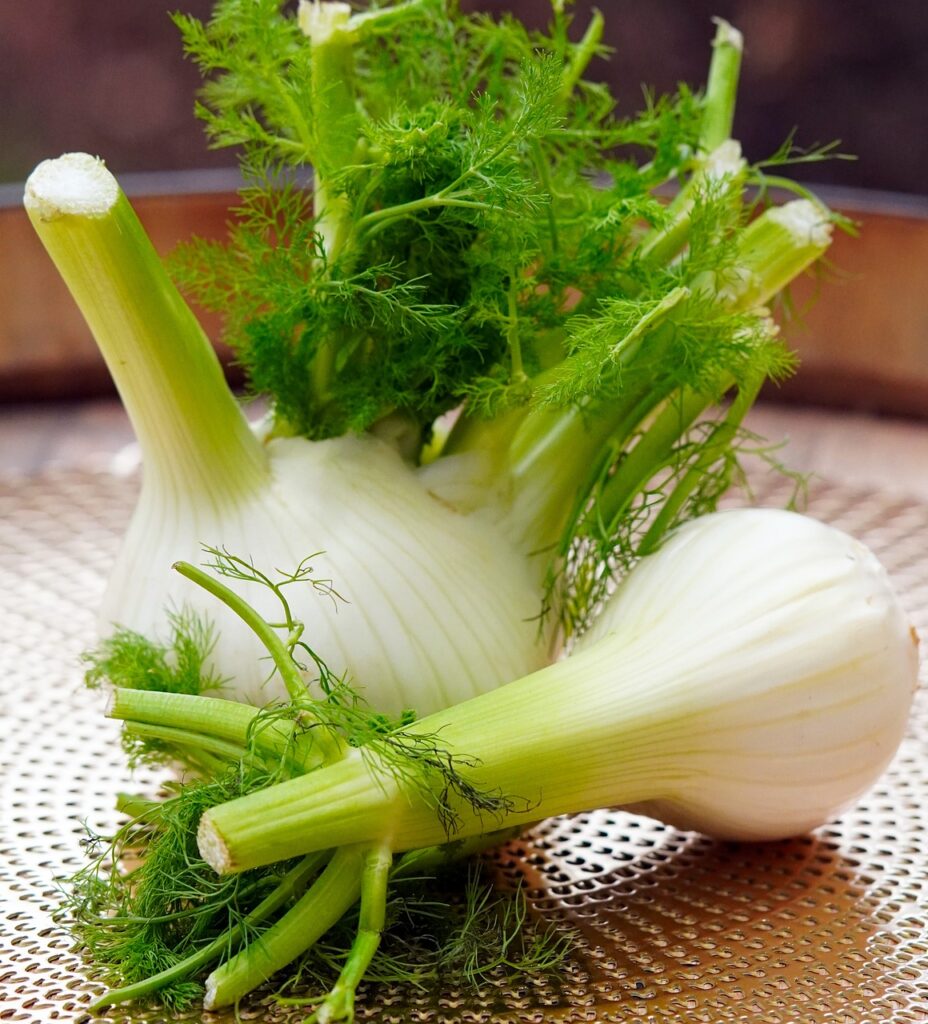 fennel, herbs for digestive health