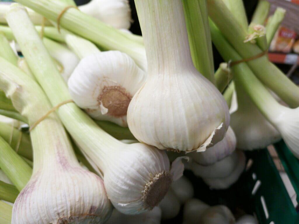 natural remedies to Prevent Diabetes fresh organic garlic 