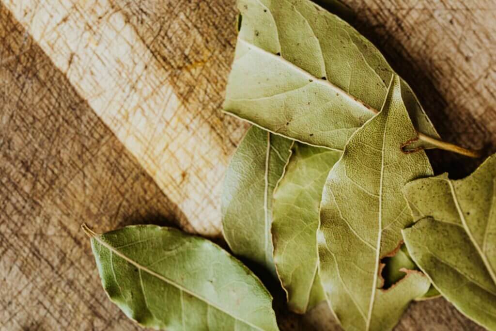 Flat lay of bay leaves natural remedies to Prevent Diabetes